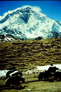 Mt. Everest landscape