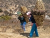 Sherpanis carrying just as much as the boys! (courtesy of Malcolm Dodds)