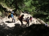 descending the hill to Phungi Thanga