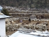 Sherpas tending to the potato fields as we arrive at Pangboche