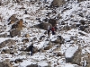 Lobuche hill