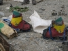 plastic boots and crampons included in the Island Peak package if required